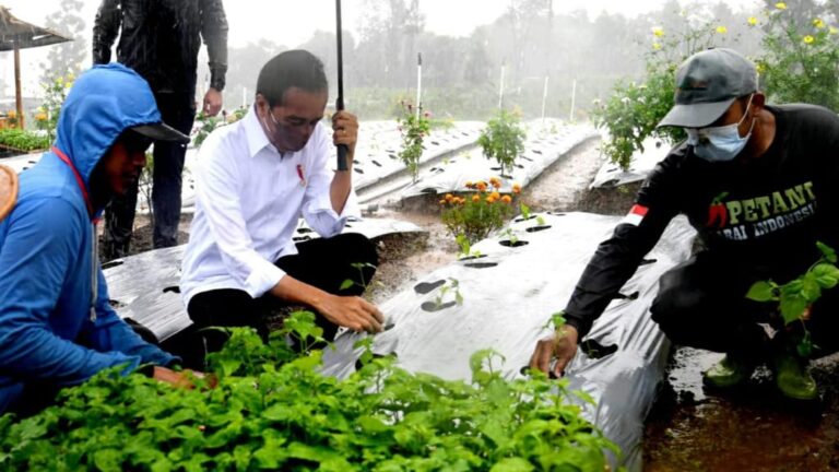 Presiden Jokowidodo berdialog dengan petani wonosobo Jawa Tengah