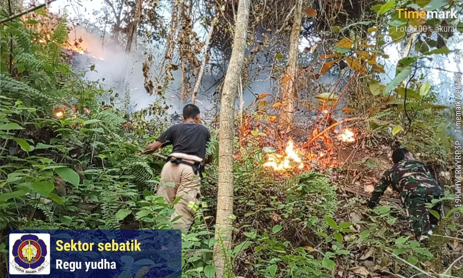 Kebakaran Lahan di Balansiku Sebatik Hanguskan 7 Hektar Kebun Sawit dan Semak Belukar
