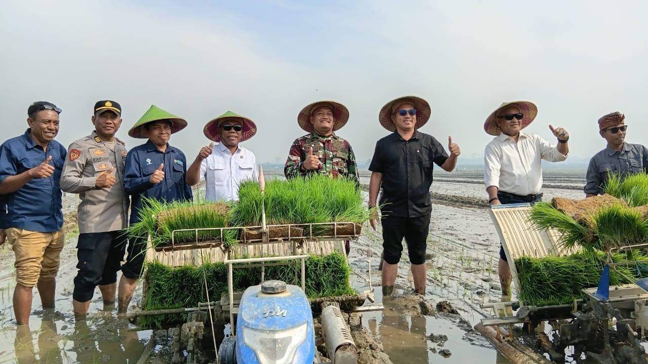 Dandim 1506/Namlea Dampingi Bupati Buru Ikuti Gerakan Tanam Padi Berbasis Pertanian Modern